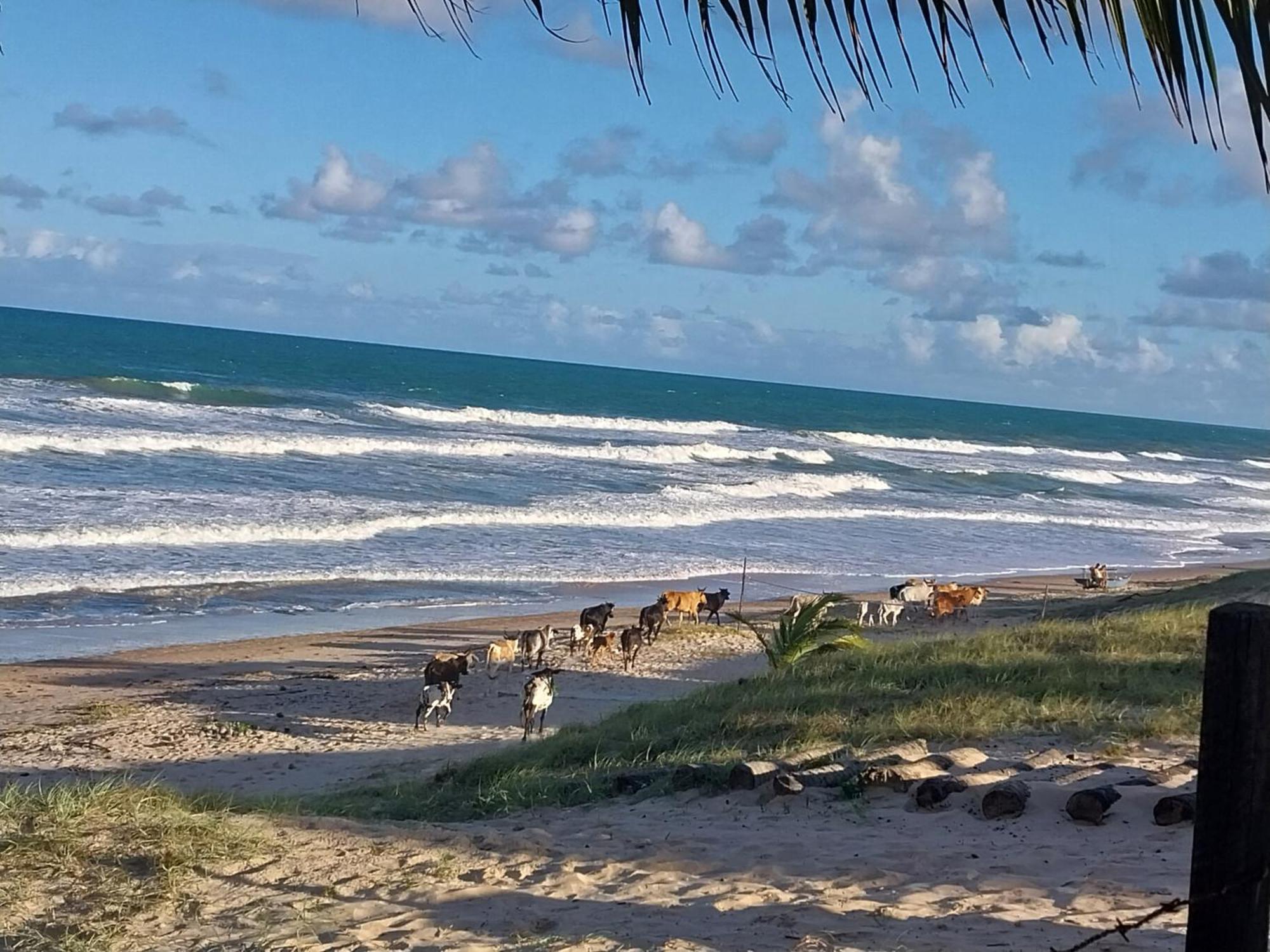 Hotel Marinheiro *