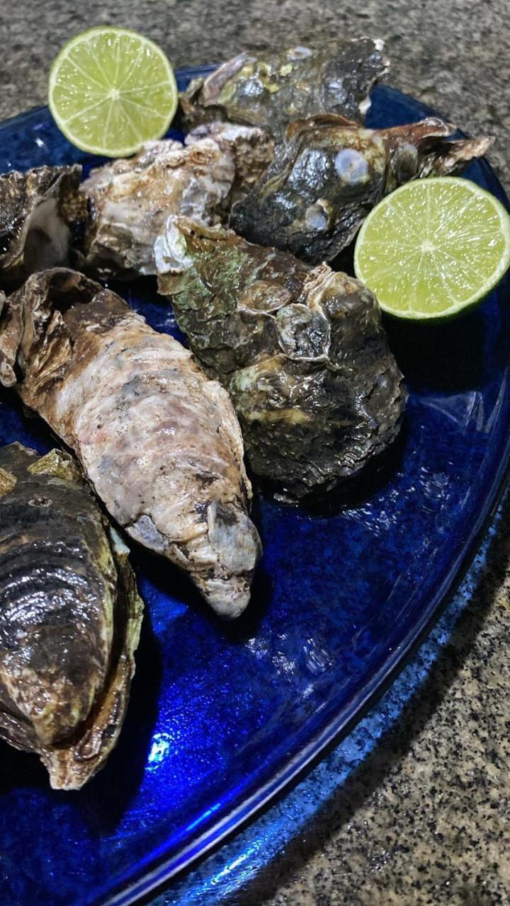 Marinheiro